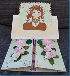 SAM_0827 SAM_0827