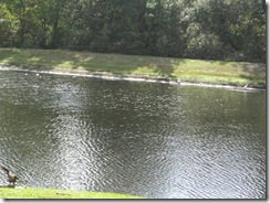 IMG_1626 IMG_1626