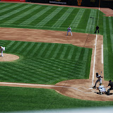 Baseball, dragonfly, bee, and a new bike