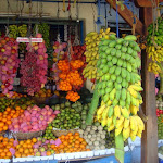 Sri Lanka - natura