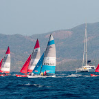 IMG_6784.jpg