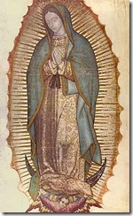 our_lady_of_guadalupe_ph33
