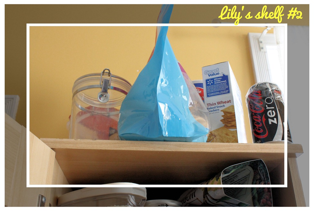 [kitchen%2520cupboard%2520pet%2520junk%255B5%255D.jpg]