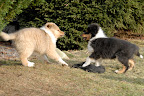 _DSC0051.JPG