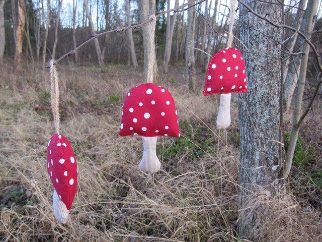 [November%25202011%2520239%255B5%255D.jpg]