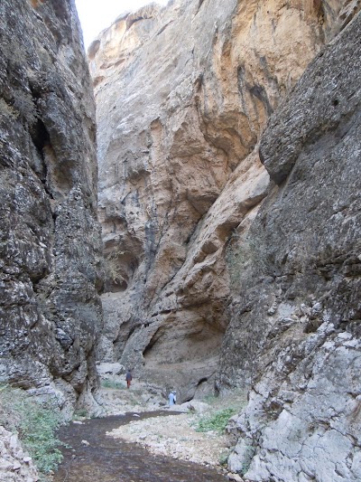 DSCN3988.jpg