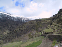 IMG_5278.JPG Photo