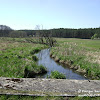 rz. Gryżynka dsc06276.jpg