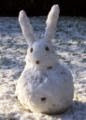 Snowrabbit Snowrabbit