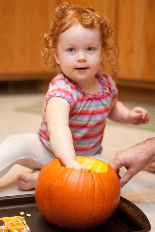 [20121027-IMG_09183.jpg]