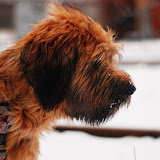 Abi - DSC_0057.jpg