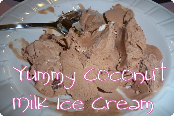 Coconut-Milk-Ice-Cream