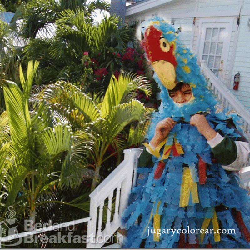 Disfraz de Guacamayo hecho con bolsa de basura