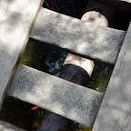 20140818_松島海浜公園・五大堂