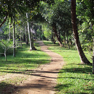Marari Beach Resort