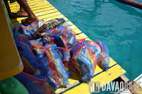 Trash found underwater in Talicud. Thanks to Davao Reef Divers Club for cleaning this up!