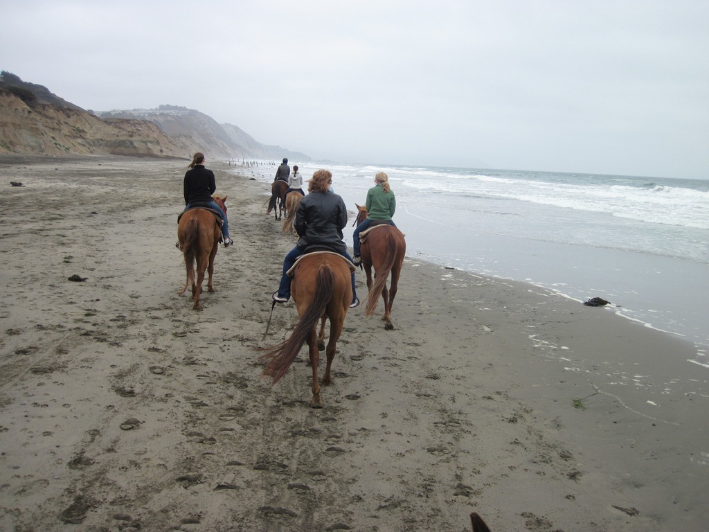 [IMG_0798%255B5%255D.jpg]