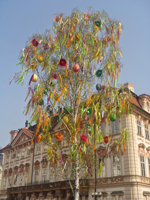 8_tr_zskomen_prag_13_14 (78).JPG