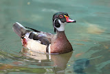 IMG_8425.JPG