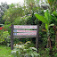 Taman Eden