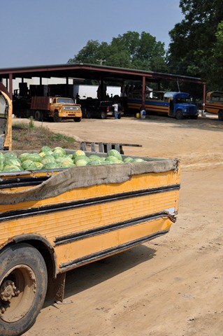 [watermelons%252011%25200705%2520%252815%2529%255B4%255D.jpg]