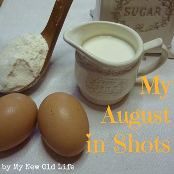 my august in shots