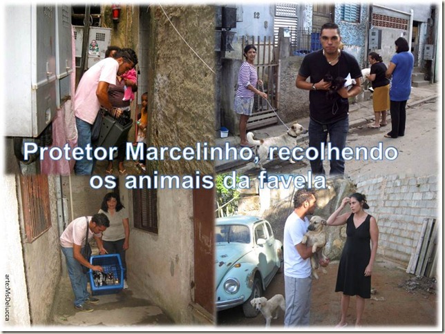 marcelinho_protetor01 marcelinho_protetor01