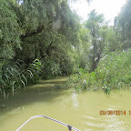 IMG_5789.JPG