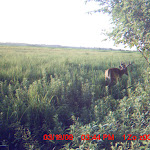 MDGC0158.JPG