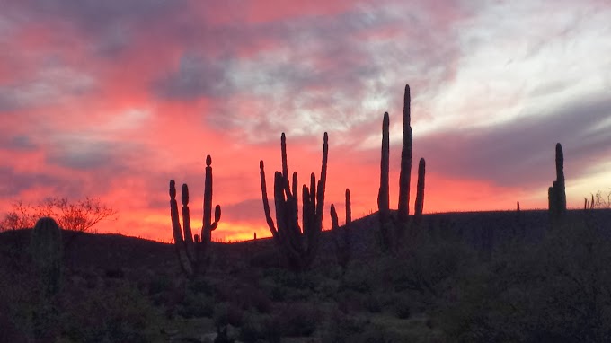 Cardon sunset 20131228_160049.jpg