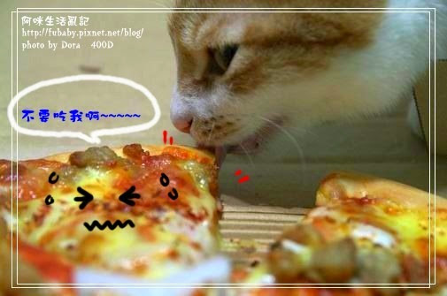 49da3d3f827c0 49da3d3f827c0