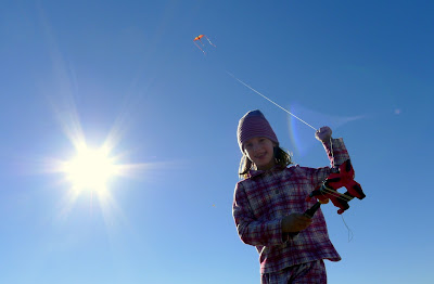Kite high above Assateague