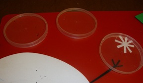 [12-21-11%2520100%2520small%255B2%255D.jpg]