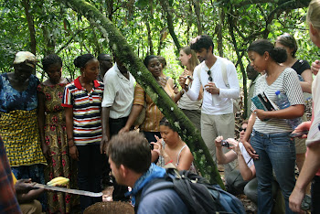 'Learning in action at  Kuapa Kokoo Cocoa farm outside of Kumasi' Photo by Sandra Vu