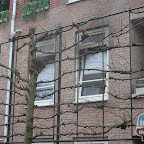 IMG_9512.JPG