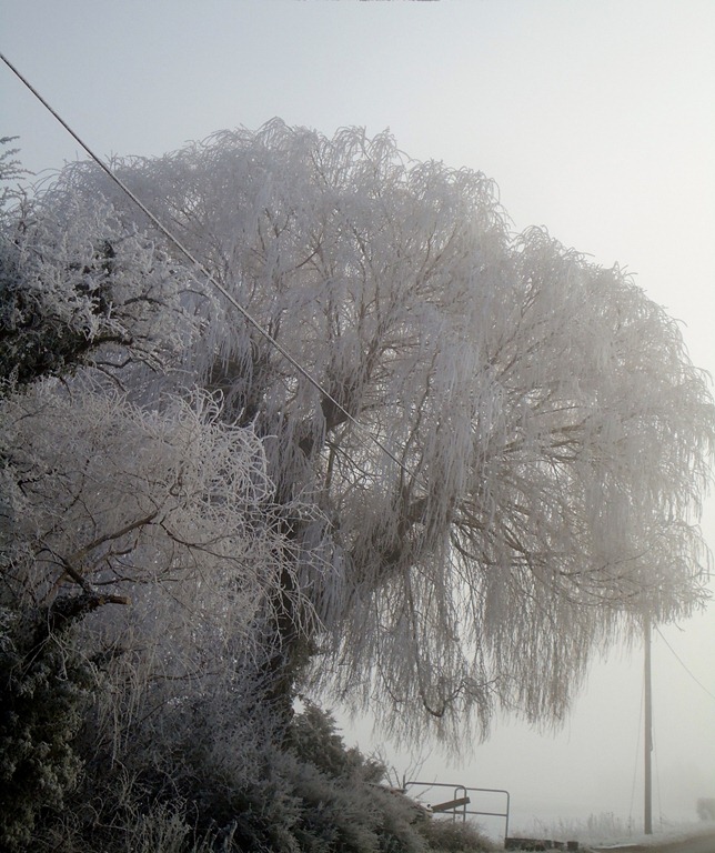 [Cambridge%25202-10%2520icestorm%252033%255B3%255D.jpg]