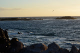 DSC_0636.JPG