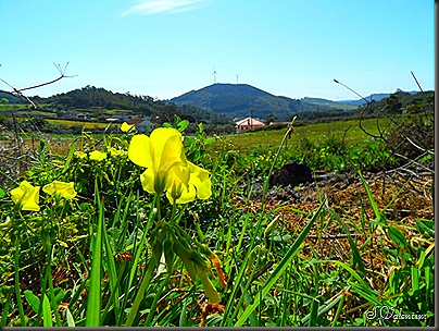 SAM_0203 SAM_0203