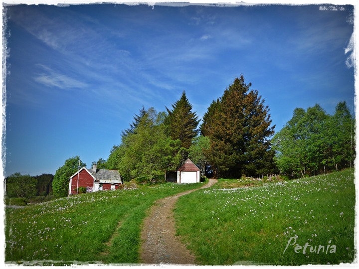 Himmelsk 5
