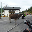AustriaBiker010.jpg