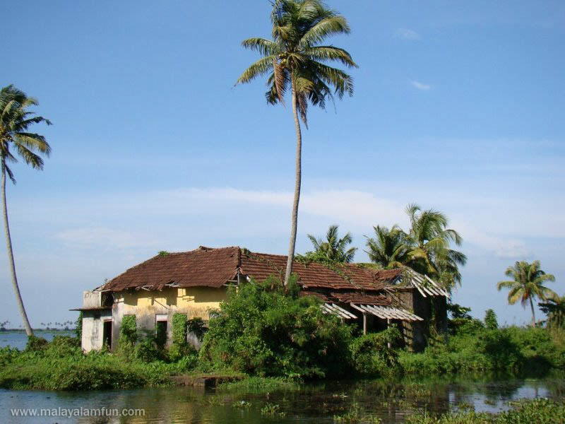 Oru Kuttanadan Yathra: The scenic view of Kerala(South India)