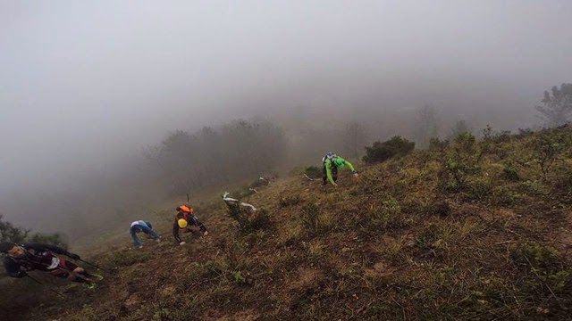 18329_959680144042209_3844404427616201905_n (1)