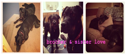 brotherandsisterlove brotherandsisterlove