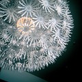 the mood lighting