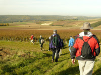 Back on the trail