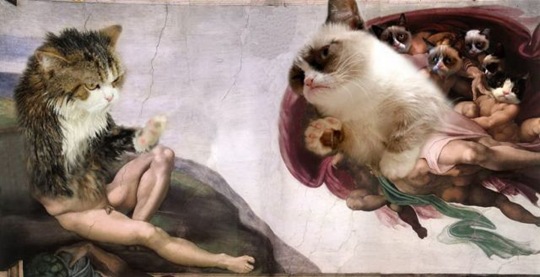 [viralpicdumppics232.jpg]