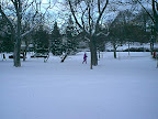 Park in winter Park in winter