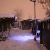2012 (3).jpg