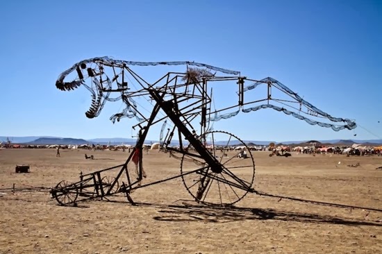 AfrikaBurn 2013 (13)