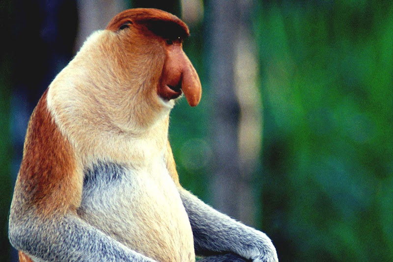 sites de rencontres hollandais